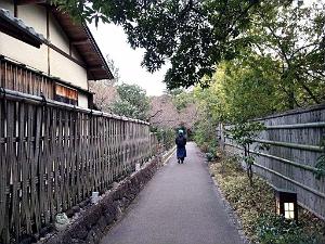 NAGOYA - Parc Tokugawa - 10.01.2024 - 30